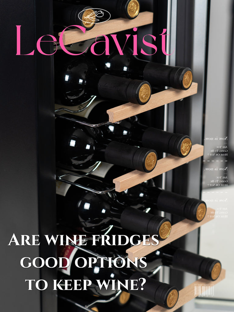 Are wine fridges good options to keep wine?