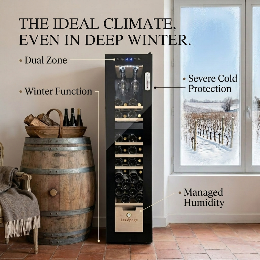 Winter Function