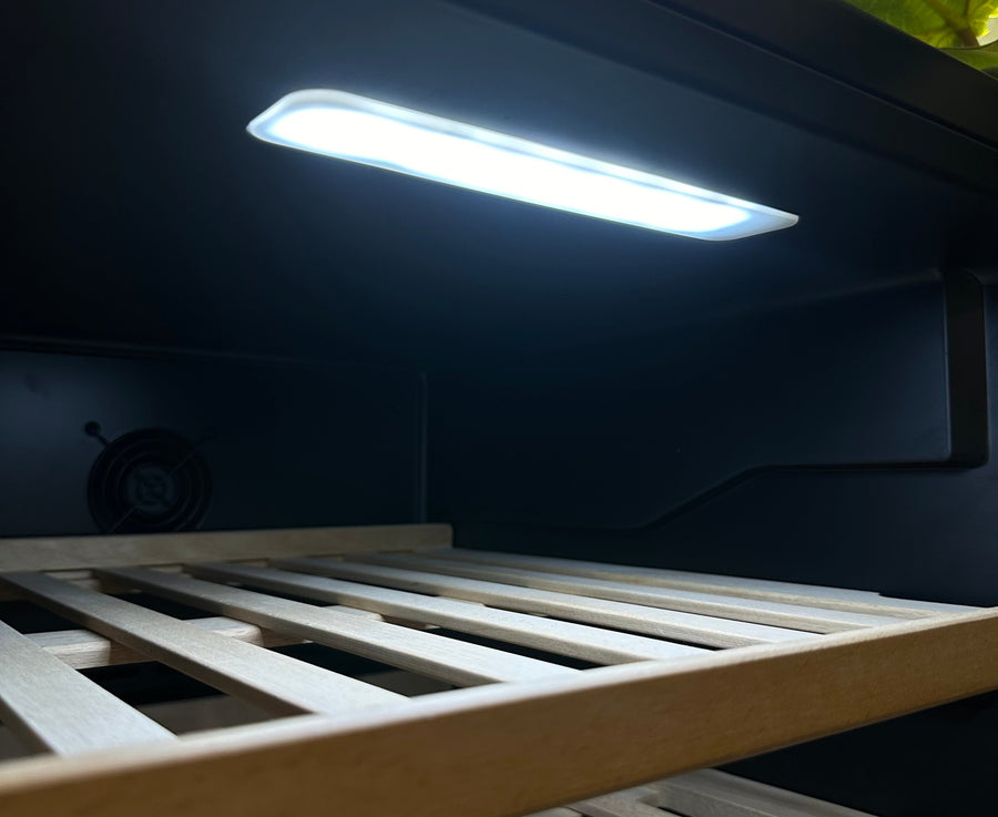 LED Lighting