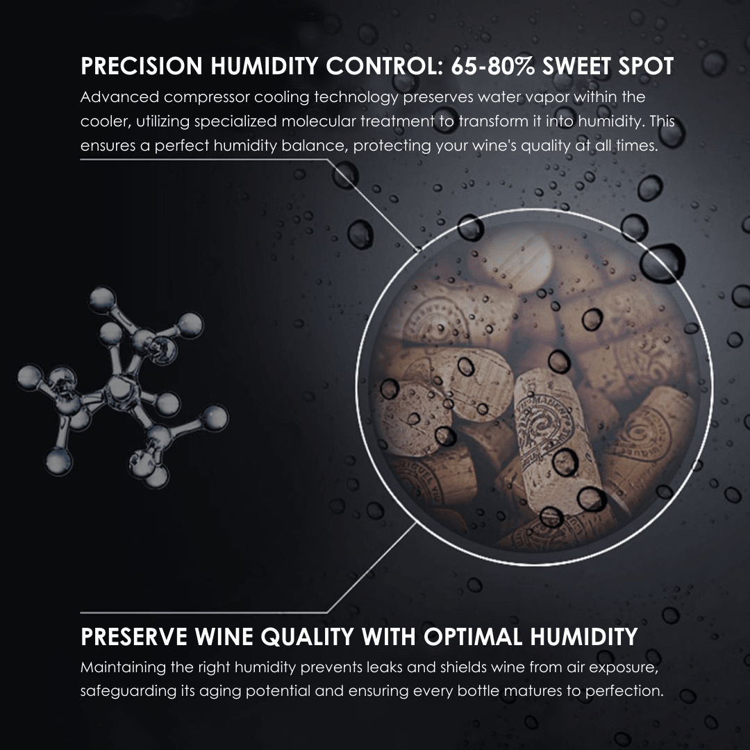 LECAVIST Wine Cabinet Duo – 336 Bottle Capacity (2 × 168) – Single Zone – Freestanding – Stainless Steel (LEK168PVX2) - Freestanding - LeCavist Wine Cabinets